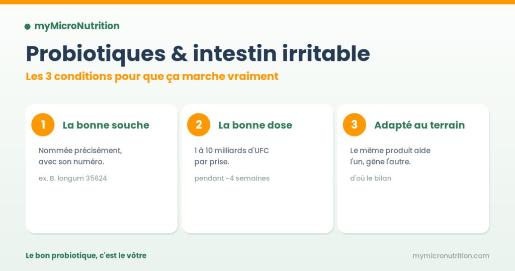 Probiotiques et intestin irritable : la bonne souche, la bonne dose, adapté au terrain