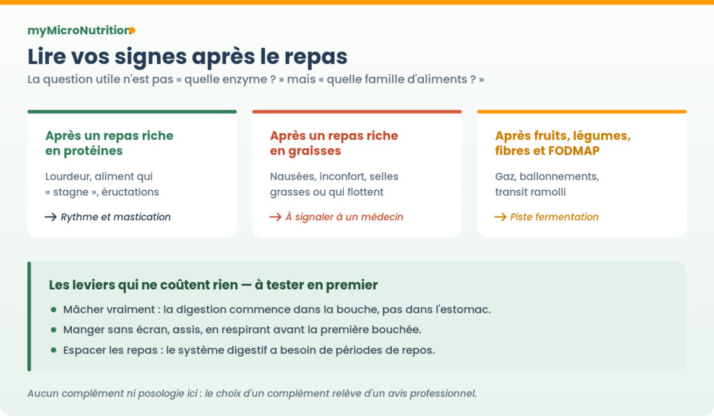 Trois familles de signes après le repas selon le type d’aliment (protéines, graisses, fibres et FODMAP) et les leviers du quotidien