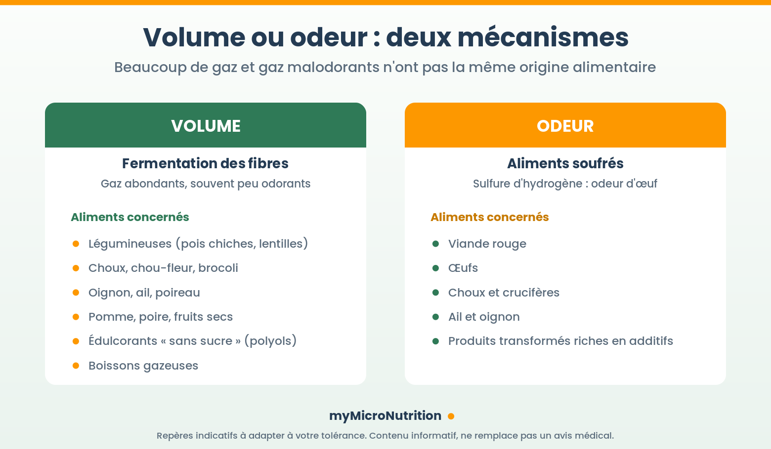 Réduire les gaz intestinaux - Comparatif : aliments fermentescibles qui augmentent le volume des gaz versus aliments soufrés qui les rendent malodorants