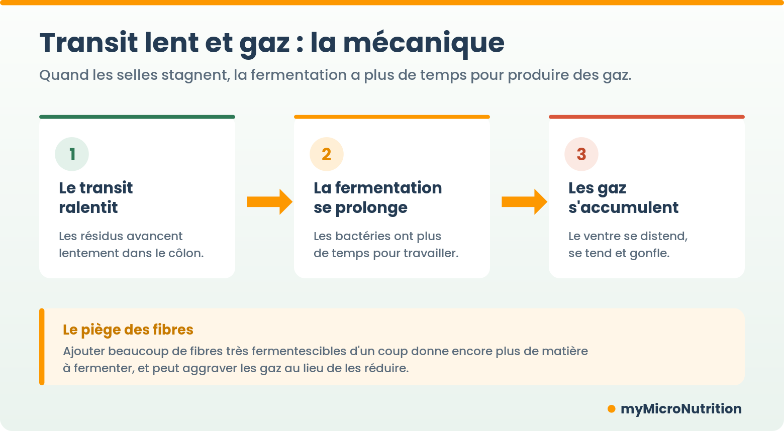 transit lent et gaz, schéma en trois étapes montrant comment un transit lent prolonge la fermentation intestinale et augmente les gaz et ballonnements