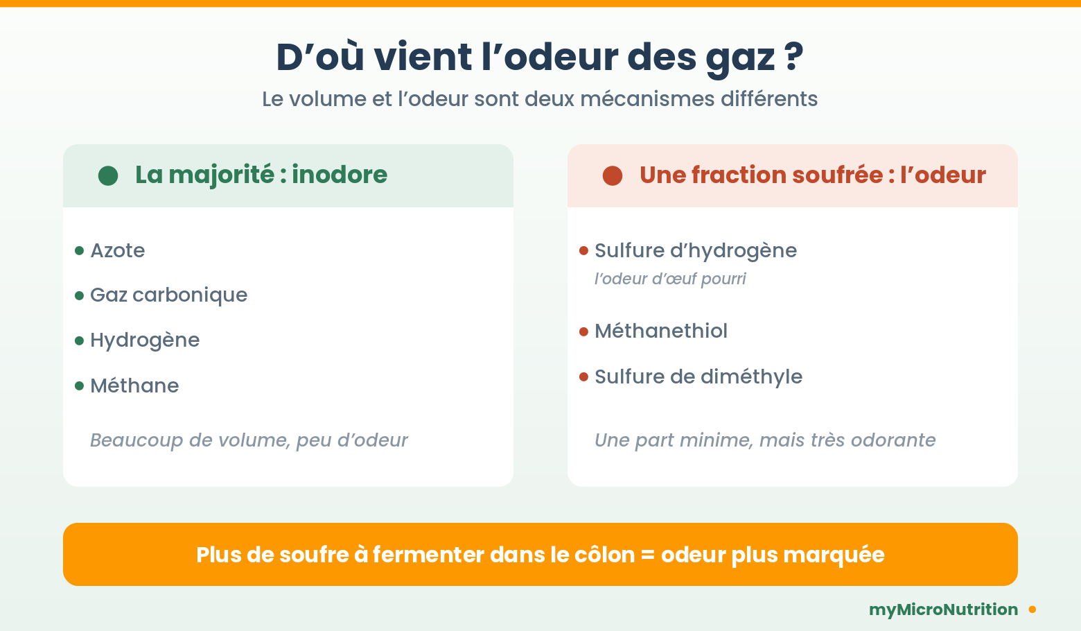 Gaz qui sentent le soufre : d&rsquo;où vient cette odeur d&rsquo;œuf pourri