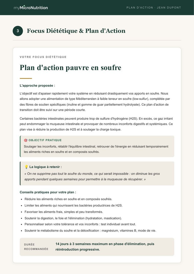 Page plan d'action pauvre en soufre avec objectif pratique et conseils