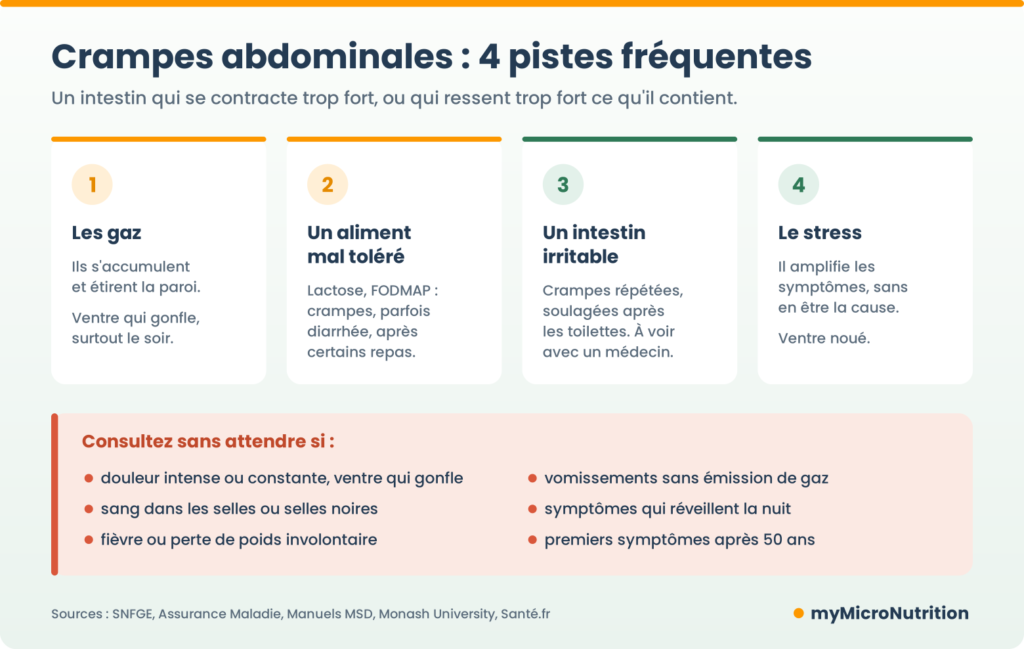 Crampes abdominales : les quatre pistes digestives les plus fréquentes (gaz qui étirent la paroi, aliment mal toléré comme le lactose, intestin irritable, stress qui amplifie) et les signes qui doivent faire consulter sans attendre.